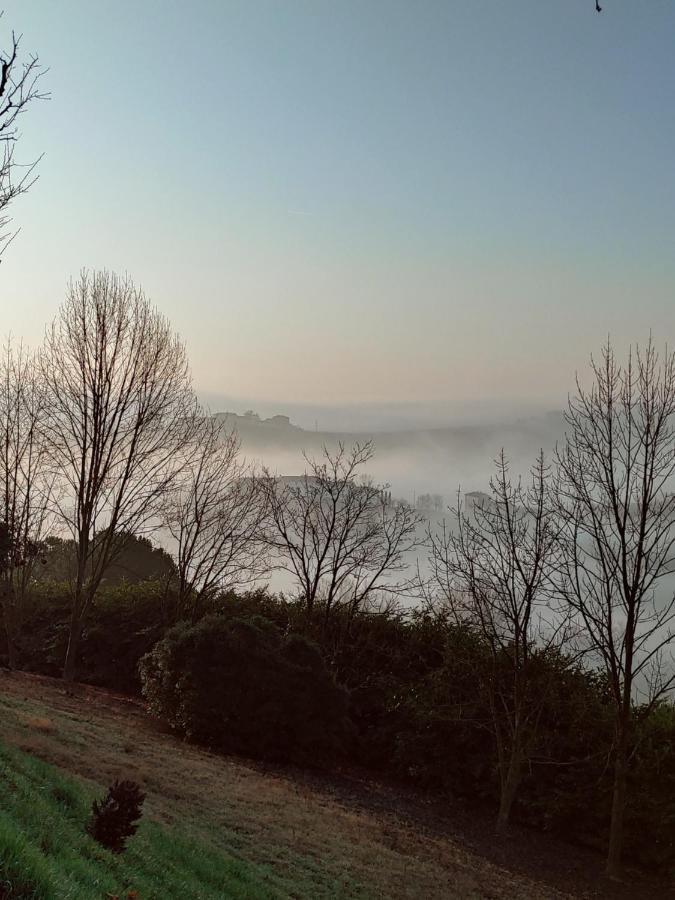 Del Boscogrande Montegrosso dʼAsti