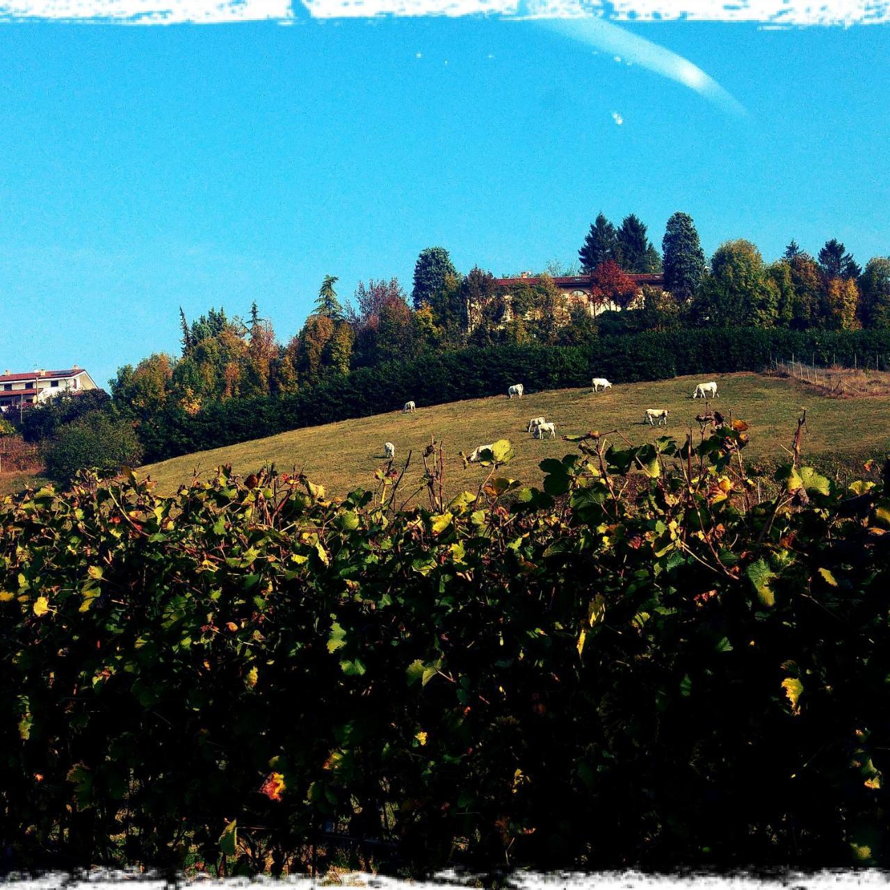 Del Boscogrande Hotel 3*